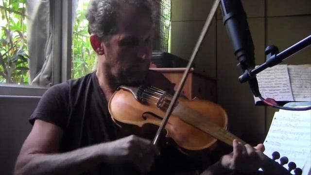 8-String Violin