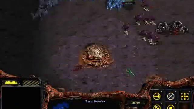 Starcraft - Zerg Mission 7: The Culling