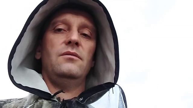 Слёт пчелы в  осений период.  Немного об опыте разведения пчёл.