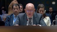 Небензя: Вето США на прием Палестины в ООН Россию и историю не остановит