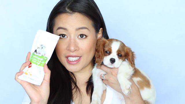 Unboxing Pupbox with Milton | Puppy Subscription Box | Cavalier King Charles Spaniel