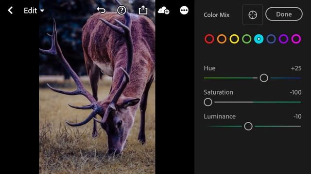 Dark Wildlife - Lightroom Mobile Preset DNG | Free Download | Wildlife Photoshoot Preset | Tutorial