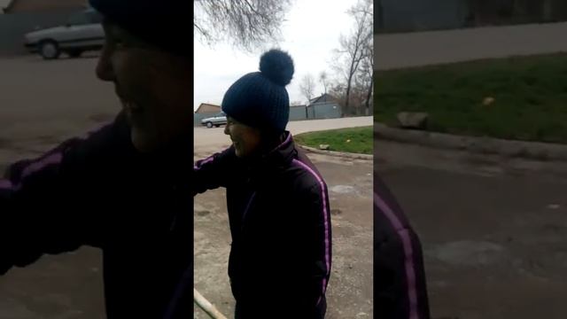 Гульсим красит ворота.