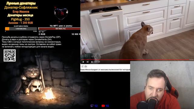 Стрим с Каджитом