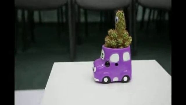 кактус