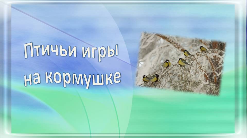 Птичьи игры на кормушке