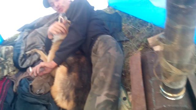 друг в палатке с рексом