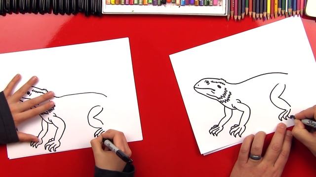 How To Draw A Bearded Dragon