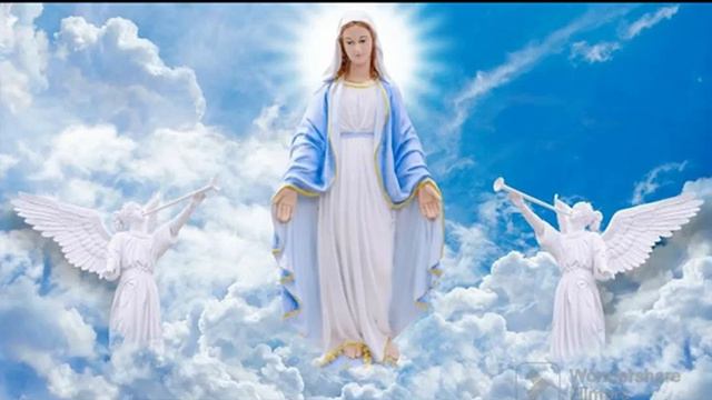 Крылья ангела