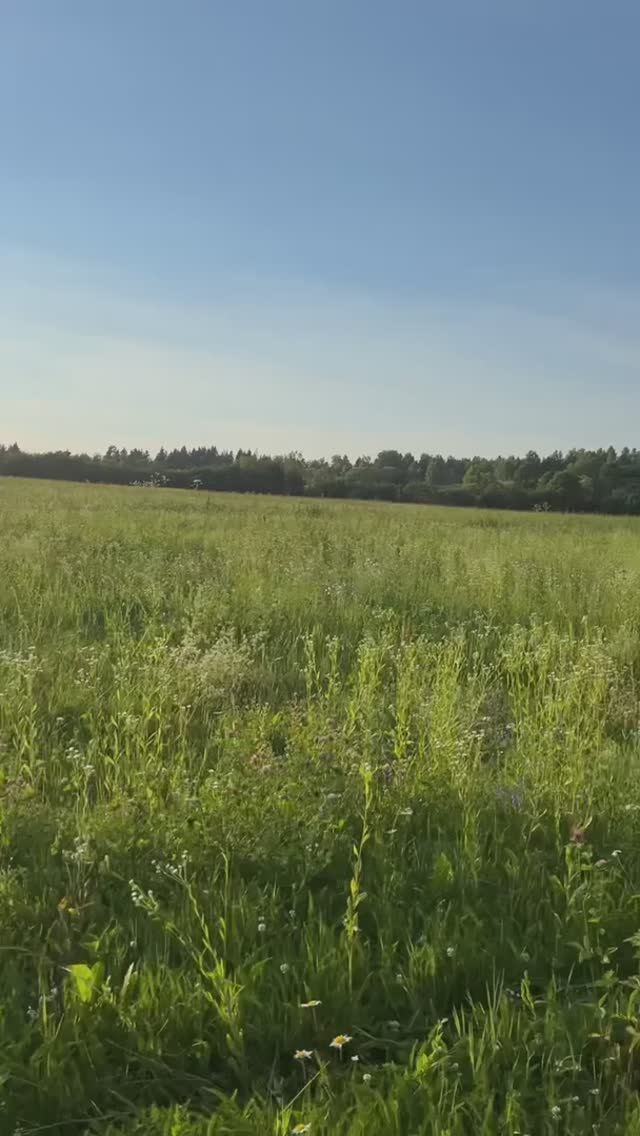 Сплав на сапах  🛶