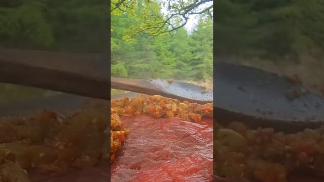 Sizzling Tender Beef Lollipops in the Wilderness!🥩🔥 Pure relaxation! #asmr #food #nature #steak