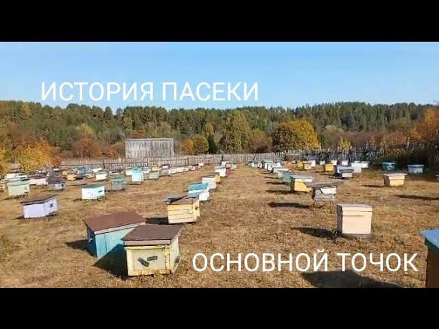 Основной Точок Пасеки История пасеки