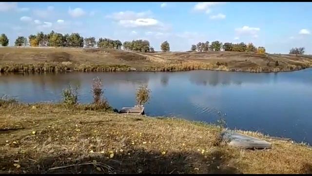 Подробный отчет о зарыблении форелью и осетром. Пруд Дальний раг
