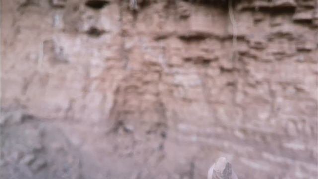 ?Продолжение с процесса добычи глины Медовый Корешок  на идеальном месте залегания 06.08.2022