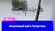 В нескольких районах Татарстана выпал снег