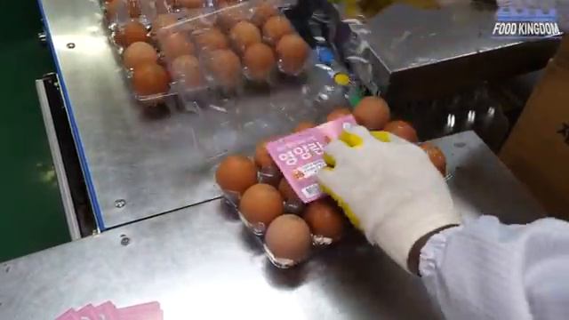 корейская фабрика по сбору и переработке яиц