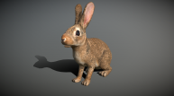 Rabbit в 3D от 3DRT.com