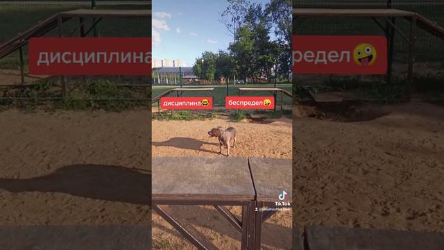 И кто тут главный?