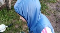 Пруд на даче. Зарыбляем свой пруд карасем. Пруд на своём участке с рыбой и раками.