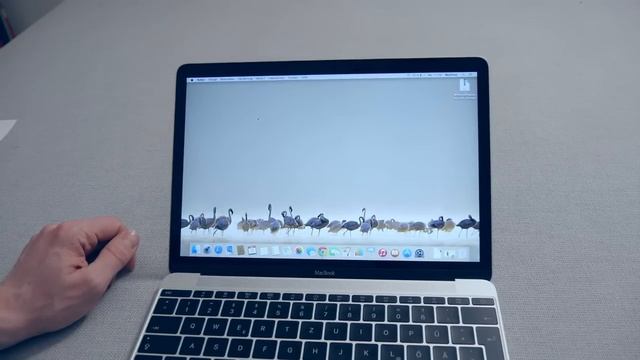 TEST: APPLE MACBOOK (12 ZOLL, 2015) – DAS DÜNNSTE UND LEICHTESTE MACBOOK EVER | Deutsch | Review