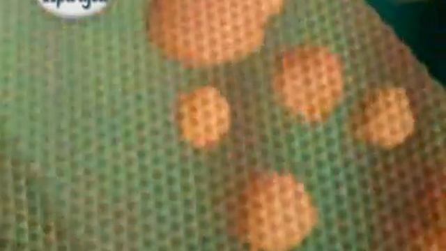 причуда.flv