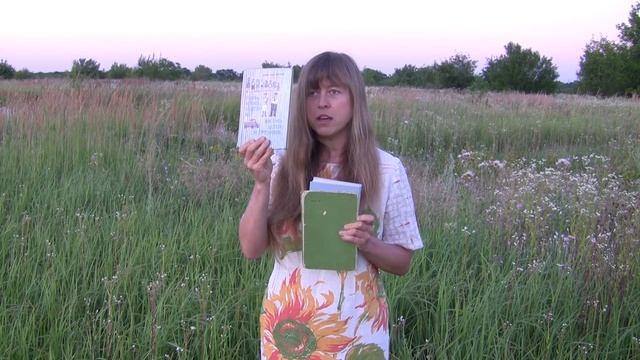 Обзор книг ► Витя Малеев в школе и дома. Гордость и предубеждение. Папа мама восемь детей и грузови