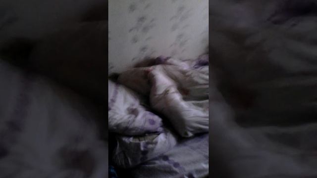 Изврощенец