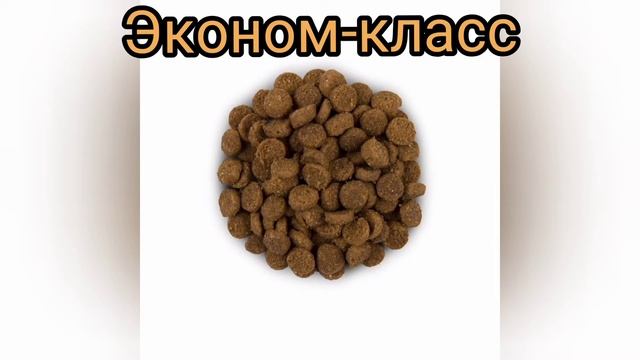 Сухой корм : плюсы, минусы, критерии выбора??
