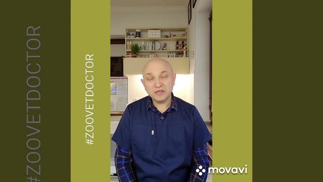 Бешенство‼️что нужно знать,  важная информация, как проявляется болезнь #zoovetdoctor #ушаковдмитри