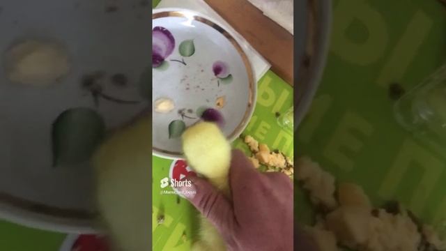День второй. Завтрак)
