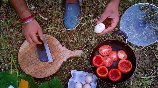 Adventure cooking life || TOMATO OMELETTE || Pond side