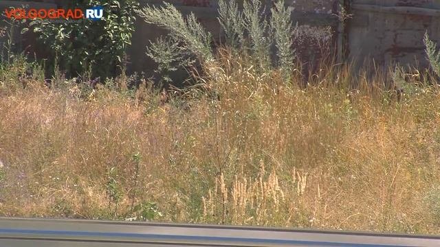 Снизить бремя затрат на дачников предлагает депутат ГД Олег Михеев