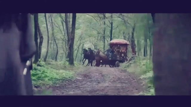 Кровавый роман | Bloody Romance |
媚者无疆 / Кровавая история любви