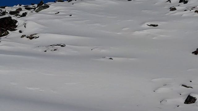 Белизна снежных гор.