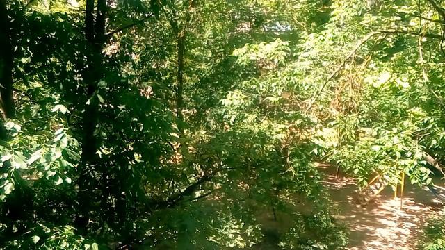 ЭМОЦИОНАЛЬНЫМ И НЕУВЕРЕННЫМ ПОМОЖЕТ 100%   9.06.2018 г.