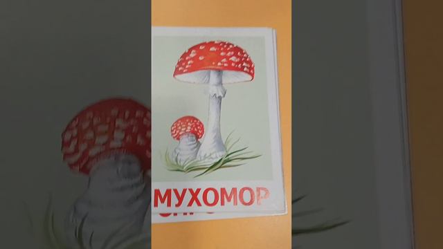 Заняття з ознайомлення з природою "Грибна абетка"