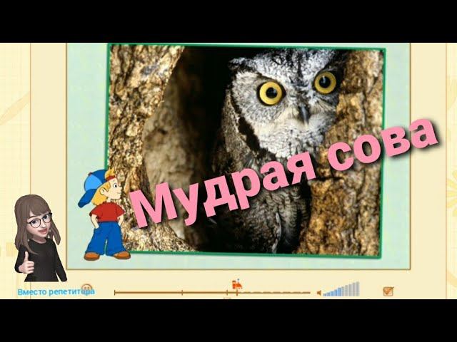 Поделки из природного материала. Технология 1 класс.