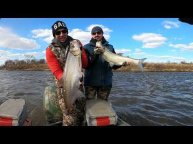 Однодневная рыбалка. Ауха 2+, верхогляд, желтощек.