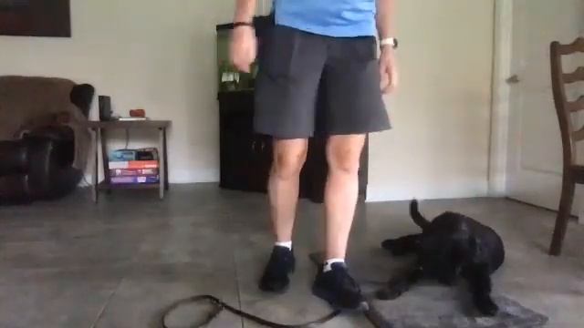 Relaxation Protocol Day 15