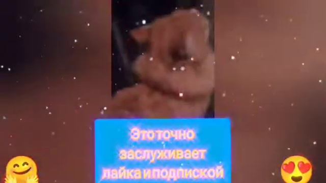 эххххх ..... 😭😭😭😭 мы так стараемся а актива нет 😭 почти  .....Подпишись ведь следующие видео это ..