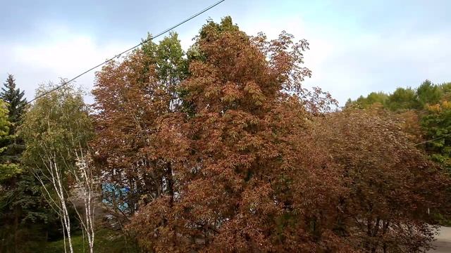 Осень в моем дворе.