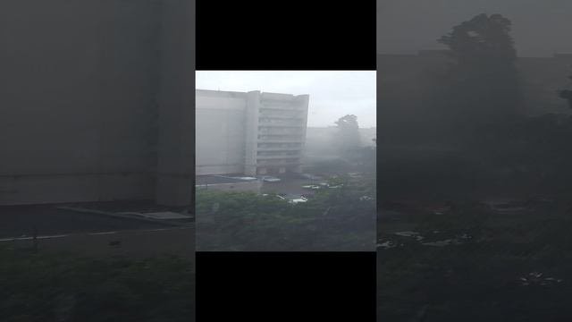 1000005509.mp4