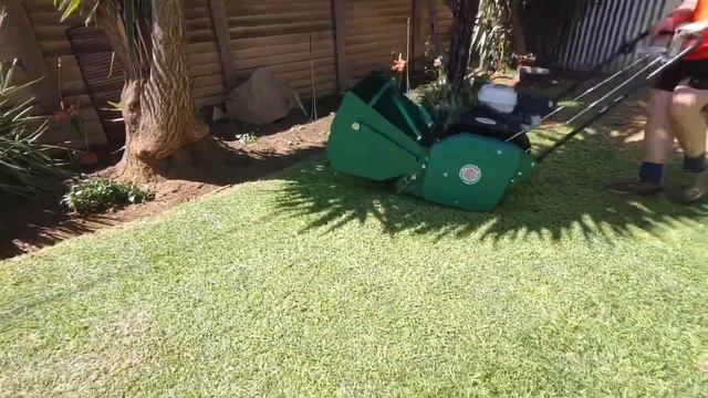 Double stripes with Protea Cylinder Mower