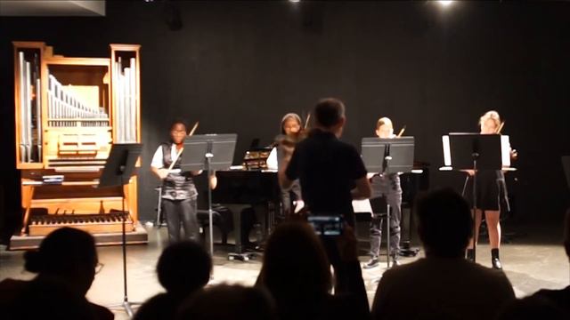 Ensemble de violons  de Jean Michel Delabre - Concert du 25 juin 2022
