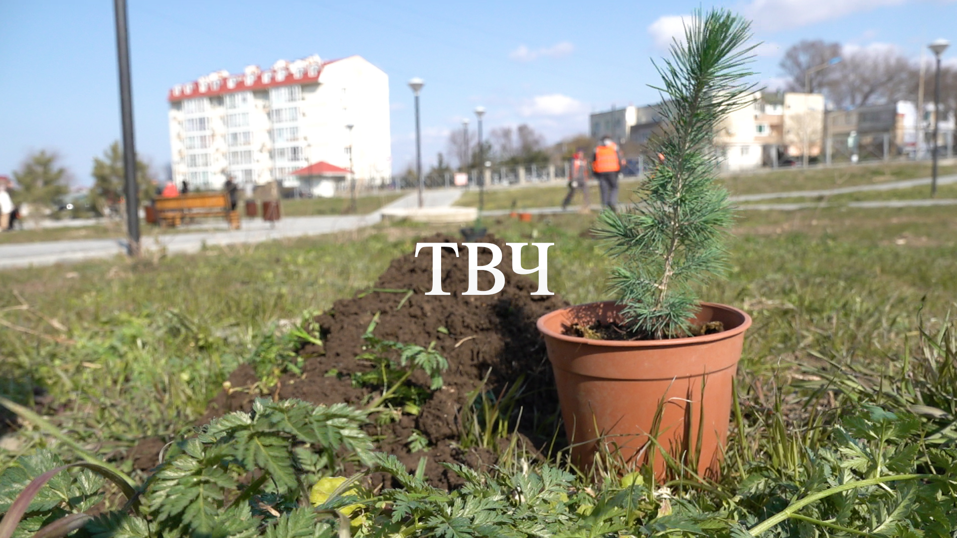В Черноморском прошла международная акция "Сад памяти"