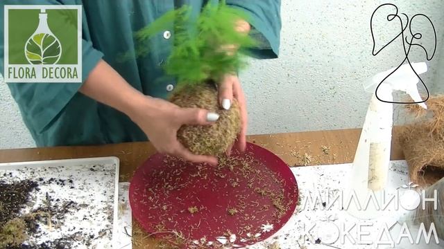 #МИЛЛИОНКОКЕДАМ Мастер-класс-27 Комборецепт кокекокодамы с аспарагусом