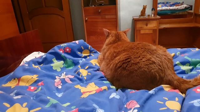 Чесно задрали с наглыми  претензиями