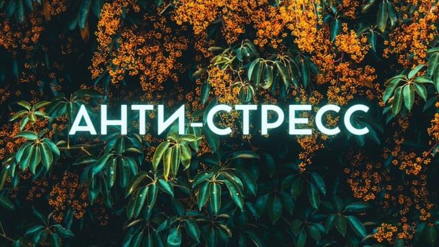 ?АНТИ СТРЕСС 2.0 ?ЛУЧШЕЕ СРЕДСТВО ПОСЛЕ СТРЕССА // МЕДИТАЦИЯ ОНЛАЙН БЕСПЛАТНО
