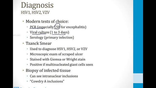 Infectious Diseases - 6. Viruses - 3.Herpes Viruses atf