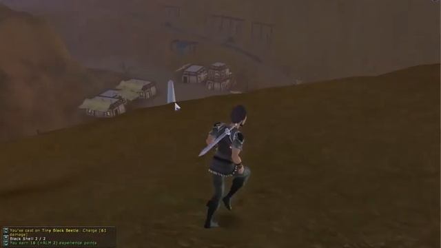 Gaming In Linux : Regnum Online